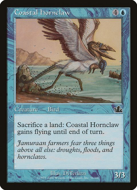 31-coastalhornclaw.jpg