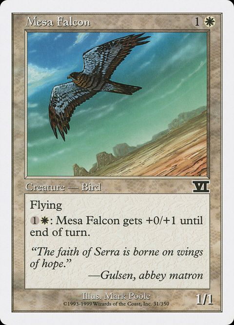 31-mesafalcon.jpg
