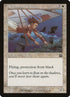 31-nightwindglider.jpg
