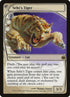 31-sehtstiger.jpg