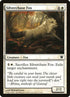 31-silverchasefox.jpg