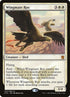 31-wingmateroc.jpg
