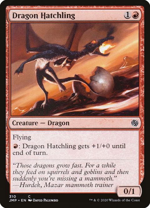 310-dragonhatchling.jpg