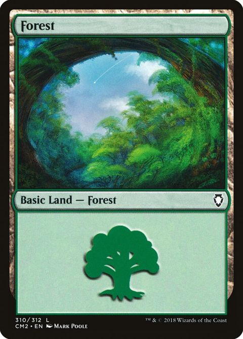 310-forest.jpg