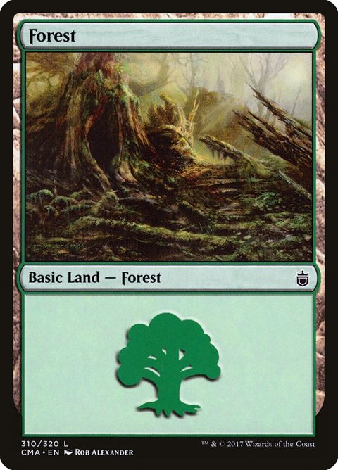 310-forest.jpg