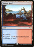 310-shivanreef.jpg