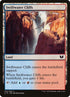 310-swiftwatercliffs.jpg
