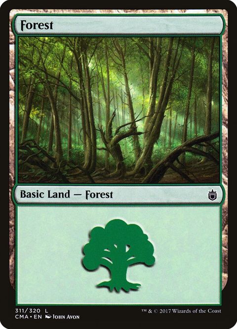 311-forest.jpg