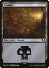 311-swamp.jpg