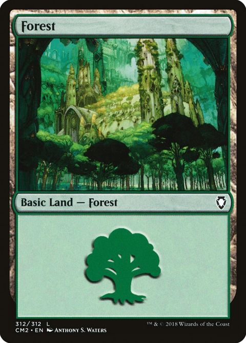 312-forest.jpg