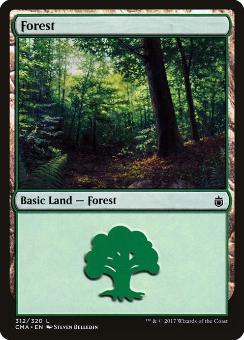 312-forest.jpg