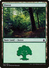 312-forest.jpg