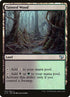 312-taintedwood.jpg