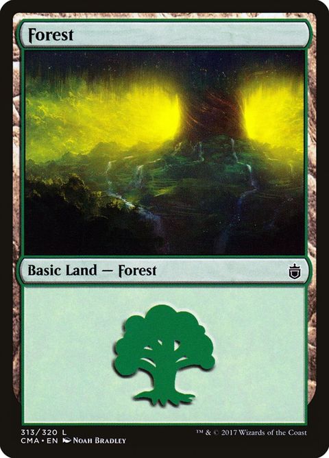 313-forest.jpg