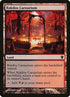 313-rakdoscarnarium.jpg