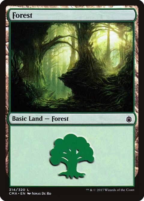 314-forest.jpg