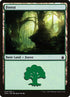 314-forest.jpg