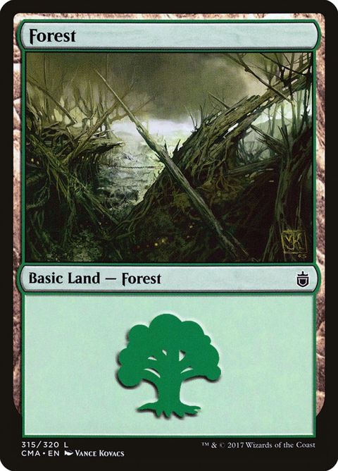 315-forest.jpg