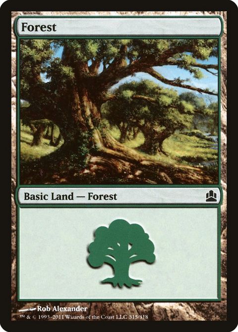 315-forest.jpg