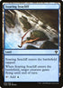 315-soaringseacliff.jpg