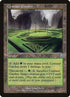 316-centaurgarden.jpg