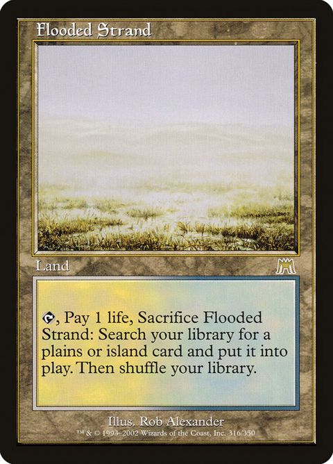 316-floodedstrand.jpg
