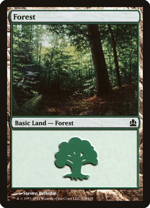 316-forest.jpg
