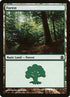 316-forest.jpg