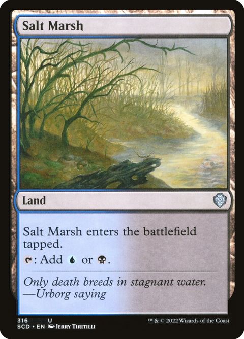 316-saltmarsh.jpg