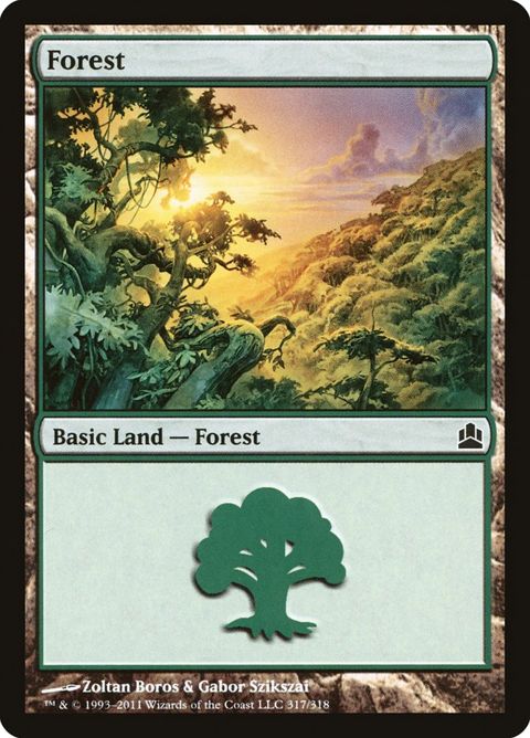 317-forest.jpg