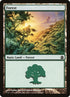 317-forest.jpg