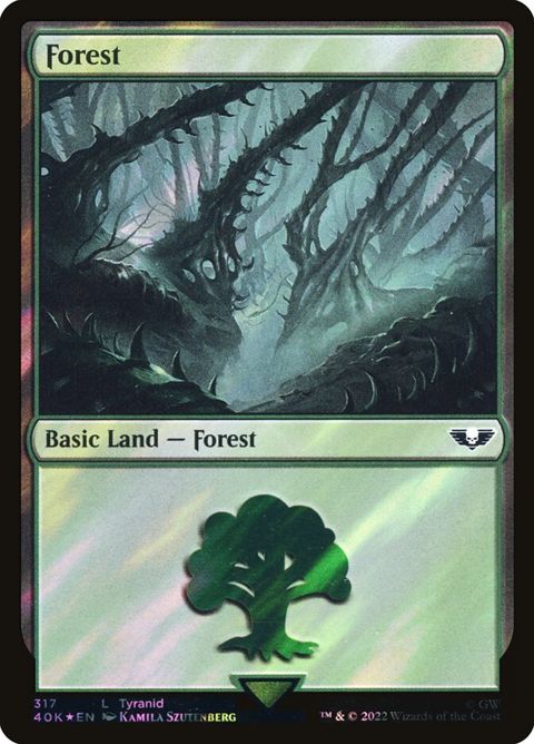 317★-forest.jpg