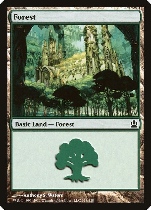 318-forest.jpg