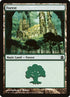 318-forest.jpg