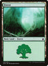 319-forest.jpg