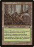 319-hickorywoodlot.jpg