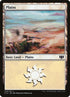 319-plains.jpg