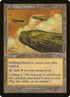 320-driftingmeadow.jpg