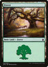 320-forest.jpg