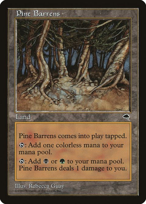 321-pinebarrens.jpg