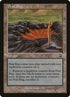 322-peatbog.jpg