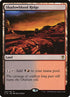 325-shadowbloodridge.jpg
