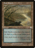 326-saltmarsh.jpg