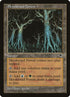 326-skyshroudforest.jpg