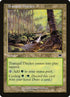 326-tranquilthicket.jpg