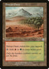 327-shivanoasis.jpg
