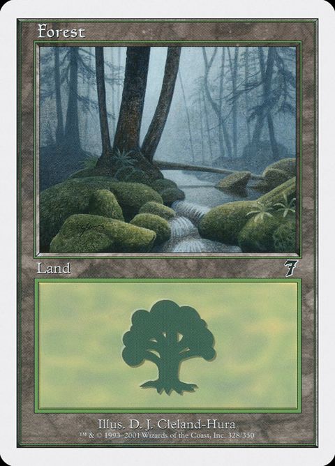 328-forest.jpg