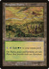 328-sungrassprairie.jpg