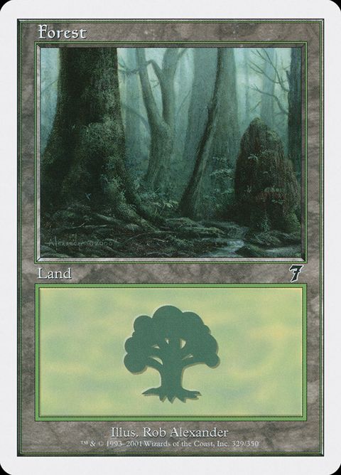 329-forest.jpg