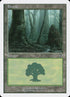 329-forest.jpg
